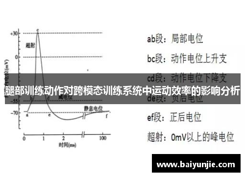 腿部训练动作对跨模态训练系统中运动效率的影响分析